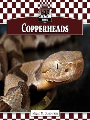 cover image of Copperheads